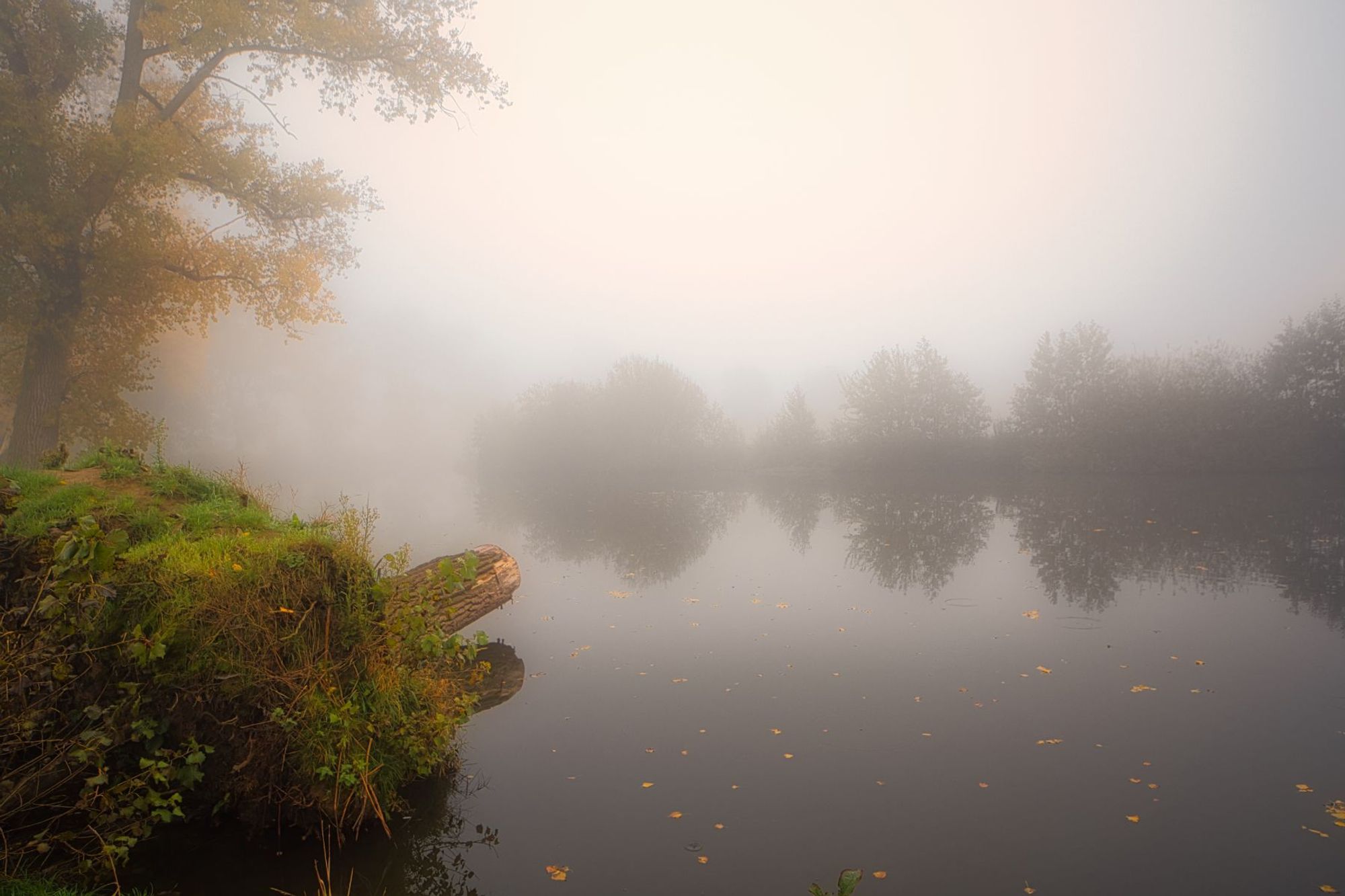 Misty morning photography by Brecht De Ruyte