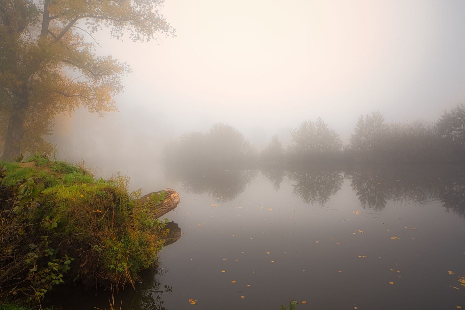 Morning mist photography by Brecht De Ruyte