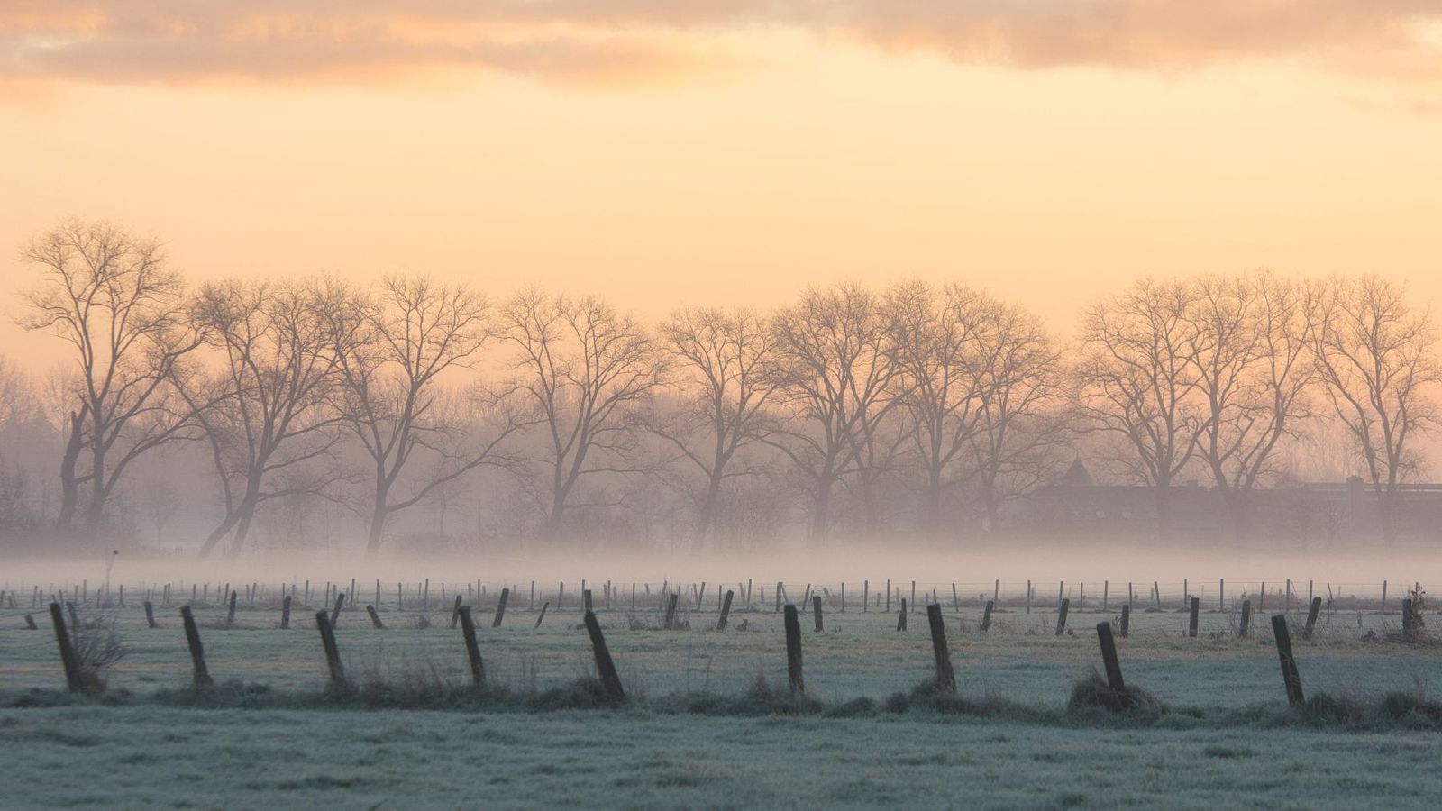 Morning mist photography by Brecht De Ruyte