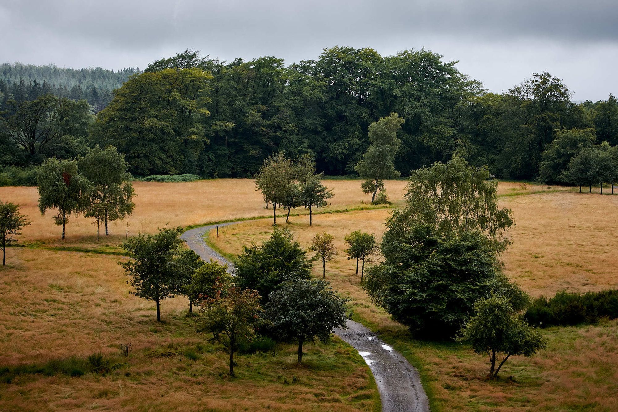 Spa landscape with road by Brecht De Ruyte