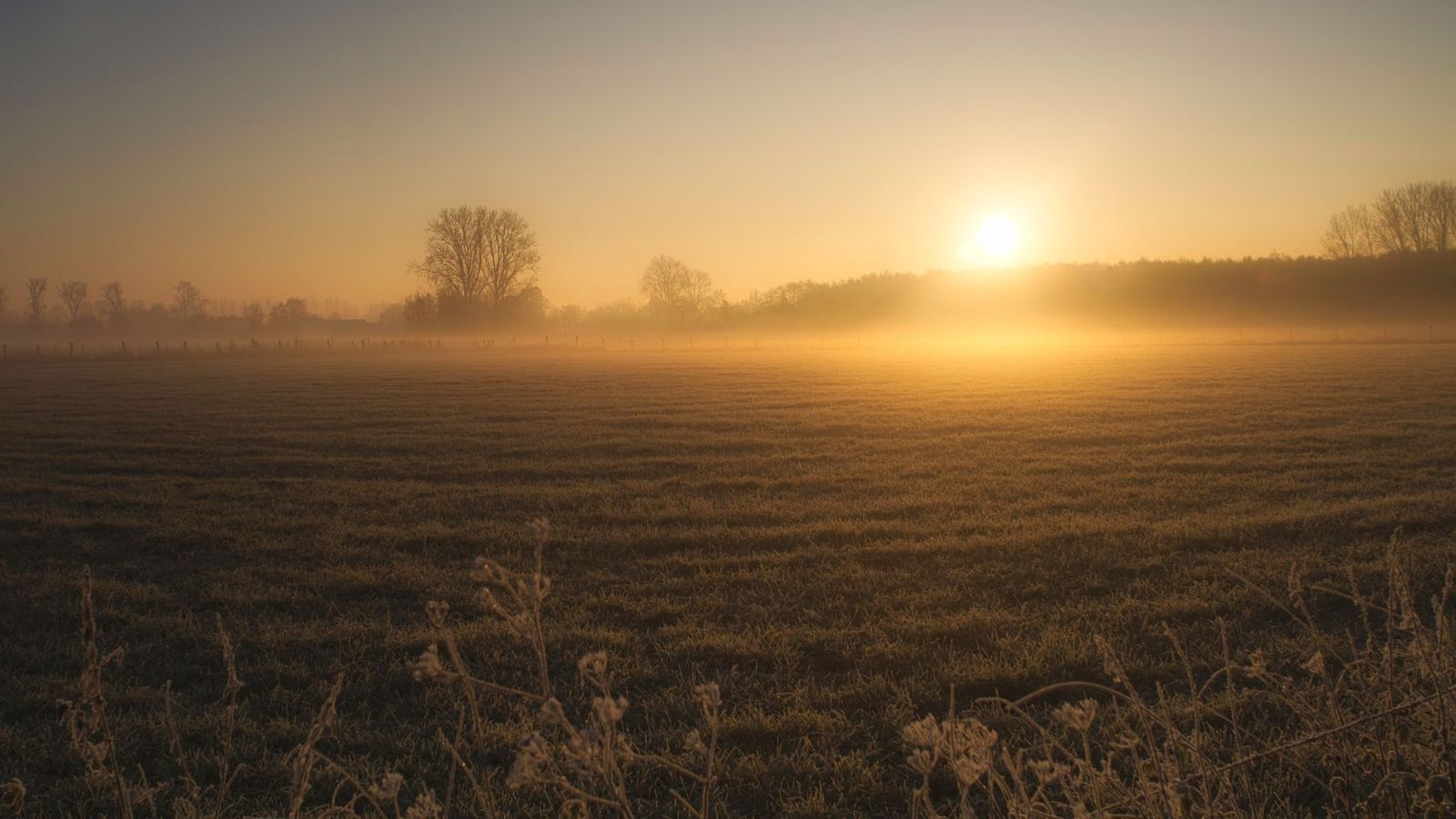 Sunrise in mist photography by Brecht De Ruyte