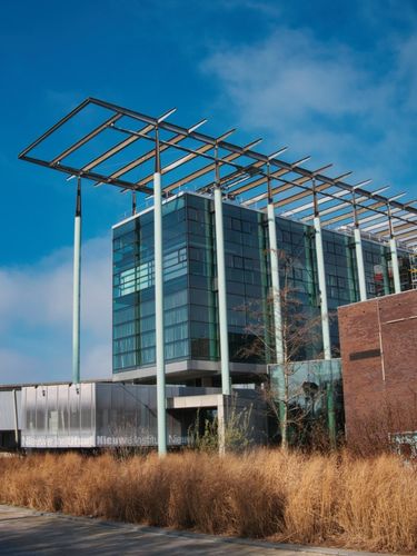 Modern glass building with tall pale green columns and dry grasses in front
