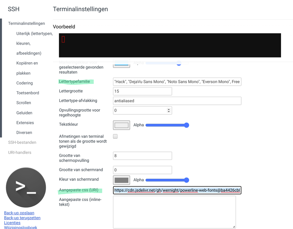 Terminal settings on chromebook