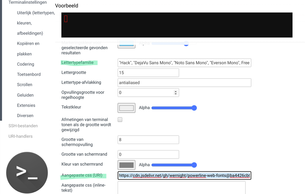 Terminal settings on chromebook