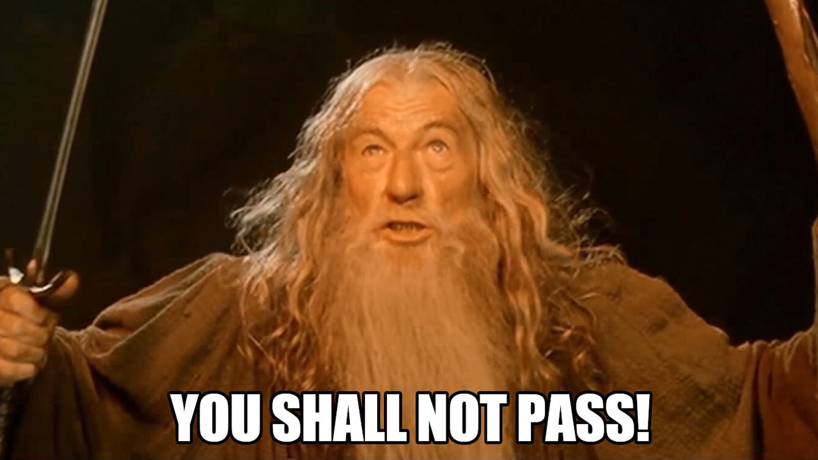 Gandalf in Lord of the rings with text: you shall not past
