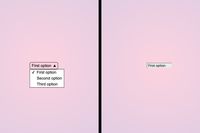 Two unstyled select next to each other, the left one had a listbox attached, the right one hasn't