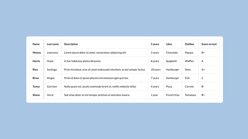 Table layout with thick border on left column