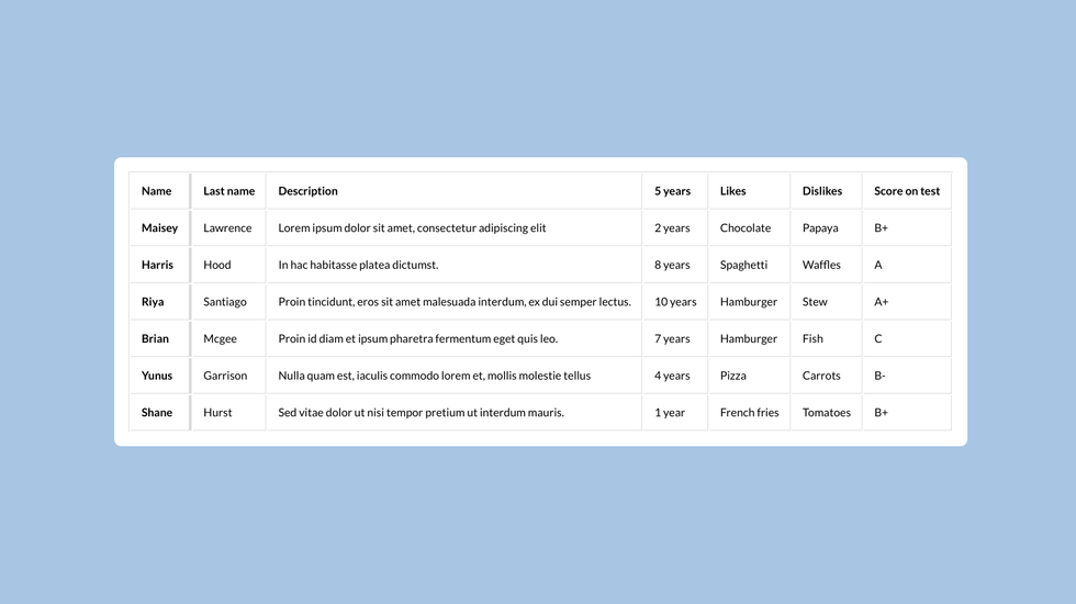 Table layout with thick border on left column